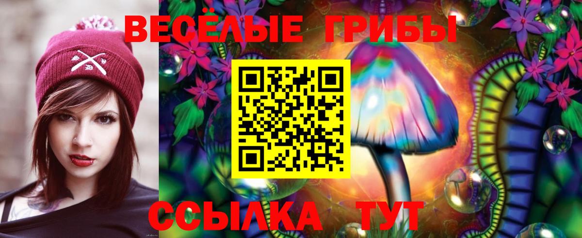 Вольск  Псилоцибиновые грибы мицелий  Вход с VPN  Псилоцибиновые грибы Psilocybine cubensis 